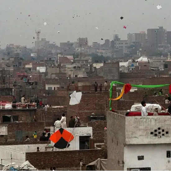 Punjab Can't Revive Basant – blog image